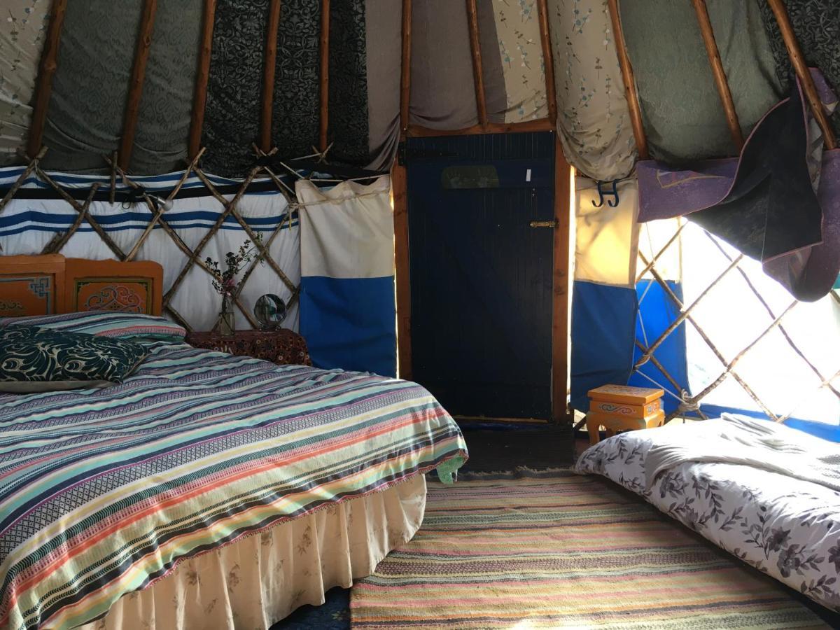 Inch Hideaway Eco Camping Whitegate  Exterior foto