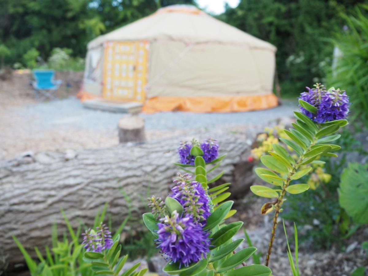 Inch Hideaway Eco Camping Whitegate  Exterior foto